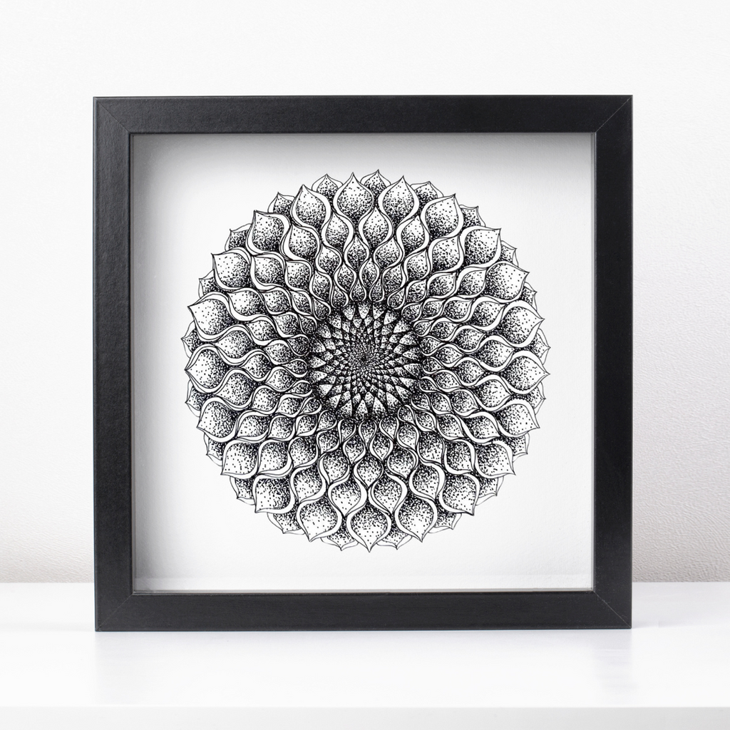 Dahlia《牡丹花》