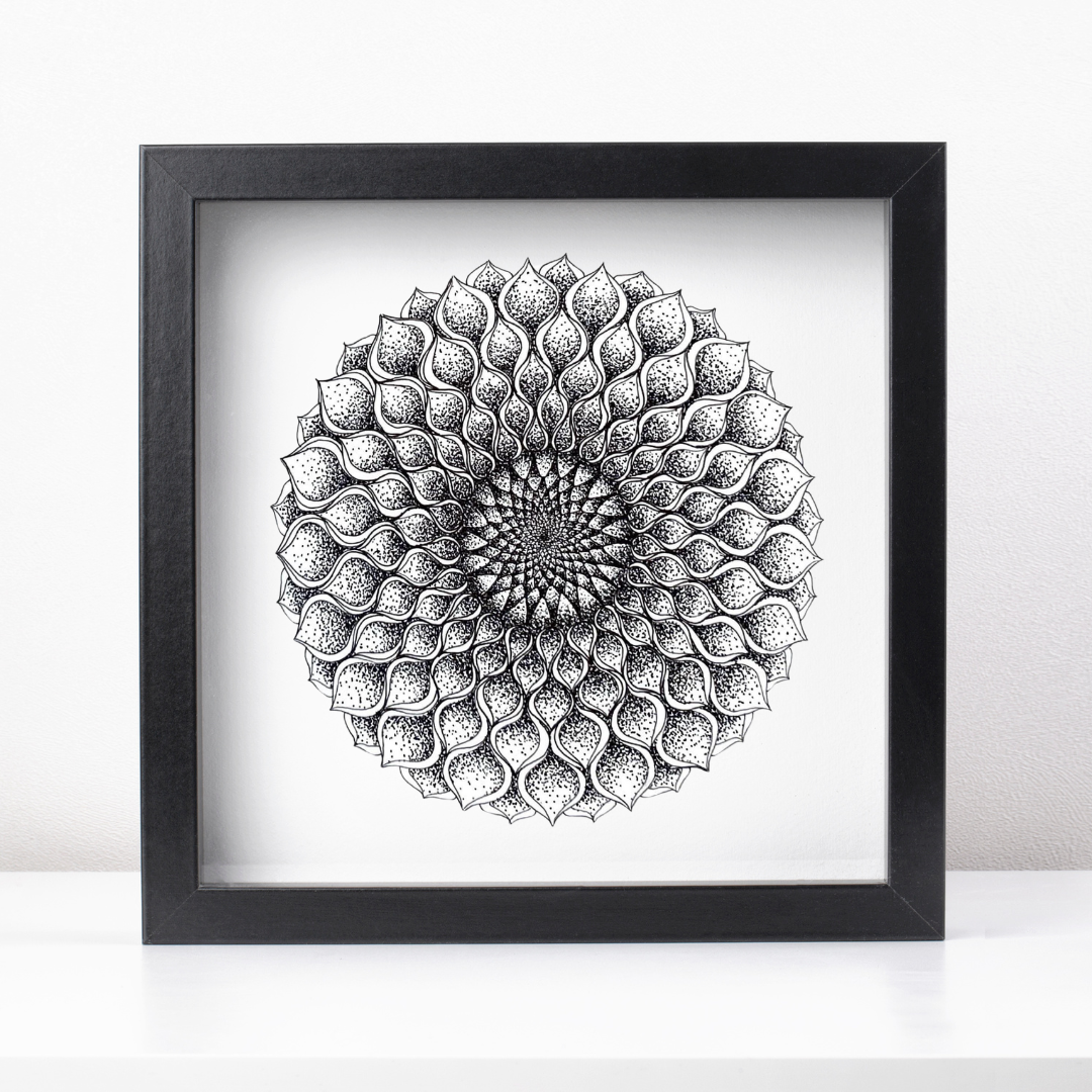 Dahlia《牡丹花》