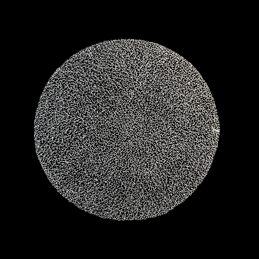 Emerging Beauty《绽放之美》