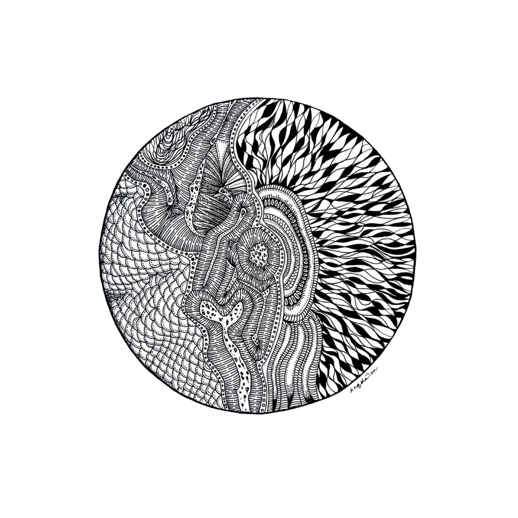 The Powerhouse《力量之源》