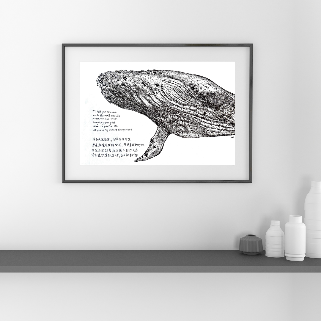 The Wishing Whale《许愿鲸》