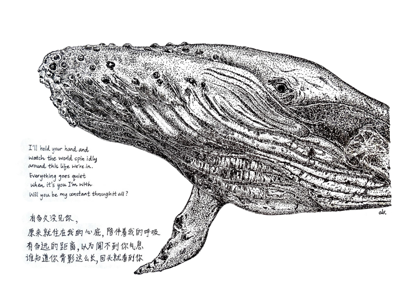 The Wishing Whale《许愿鲸》
